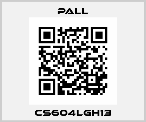 CS604LGH13 Pall