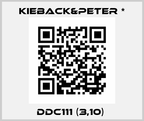 DDC111 (3,10)  Kieback&Peter *