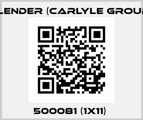 500081 (1x11)  Flender (Carlyle Group)