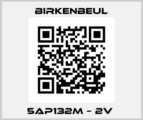 5AP132M – 2V  Birkenbeul
