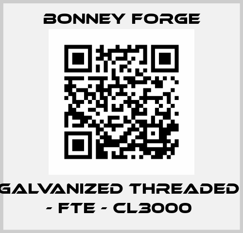 DN80 Galvanized Threaded Union - FTE - CL3000  Bonney Forge