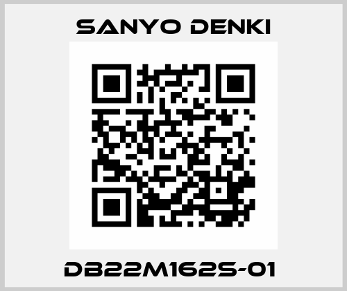 DB22M162S-01  Sanyo Denki