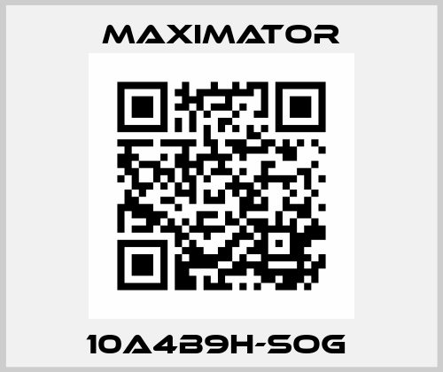 10A4B9H-SOG  Maximator