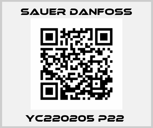 YC220205 P22  Sauer Danfoss