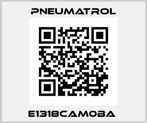E1318CAM0BA  Pneumatrol