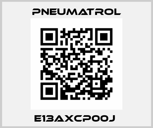 E13AXCP00J  Pneumatrol