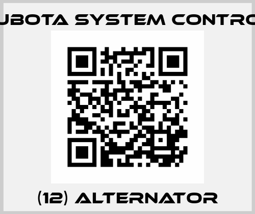(12) ALTERNATOR Kubota System Control
