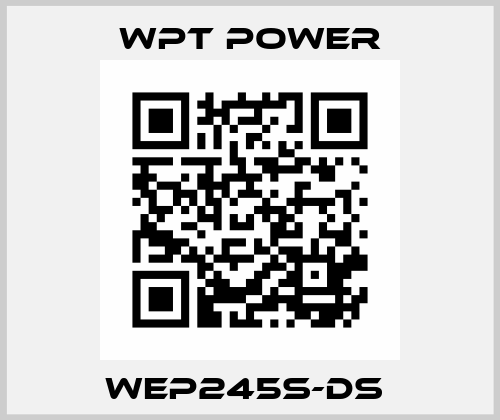 WEP245S-DS  WPT Power