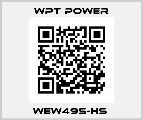 WEW49S-HS  WPT Power