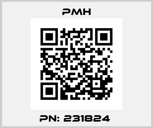 PN: 231824  PMH