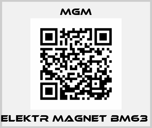 ELEKTR MAGNET BM63  Mgm
