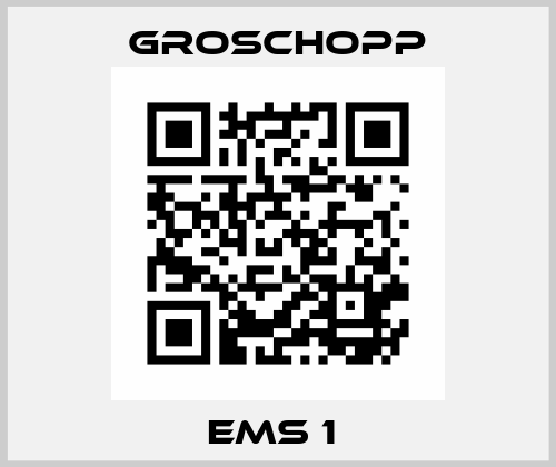 EMS 1  Groschopp