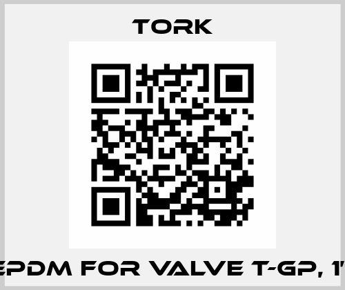 EPDM FOR VALVE T-GP, 1”  Tork