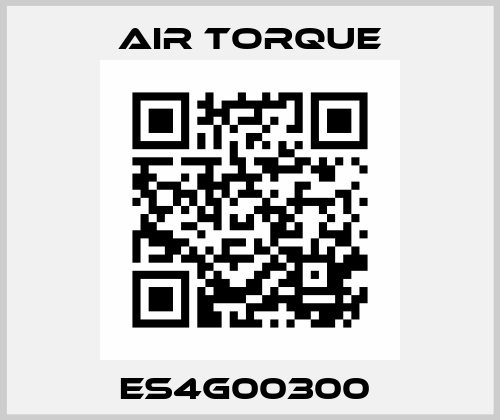 ES4G00300  Air Torque