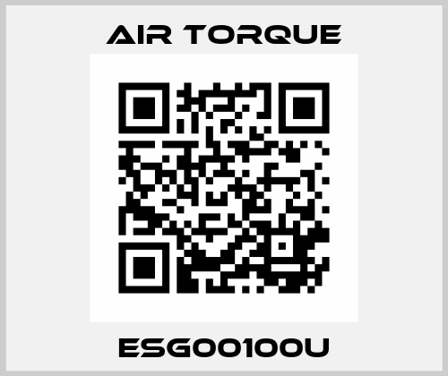 ESG00100U Air Torque