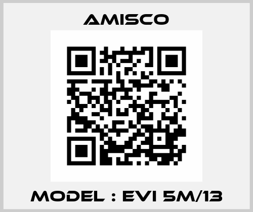 Model : EVI 5M/13 Amisco