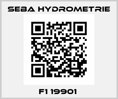 F1 19901  Seba Hydrometrie
