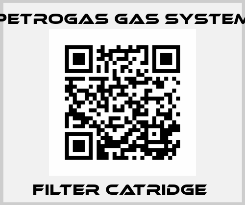 FILTER CATRIDGE  Petrogas Gas System