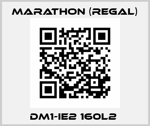 DM1-IE2 160L2  Marathon (Regal)