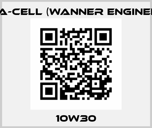 10W30 Hydra-Cell (Wanner Engineering)