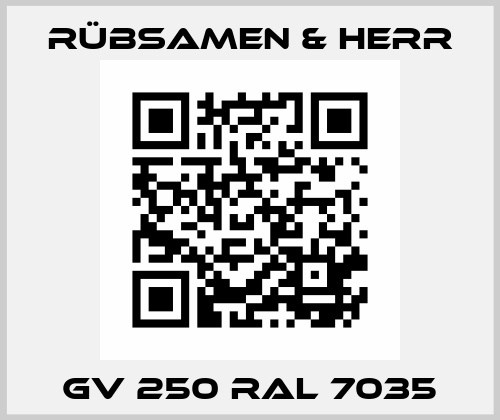 GV 250 RAL 7035 Rübsamen & Herr