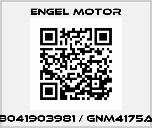 8041903981 / GNM4175A Engel Motor