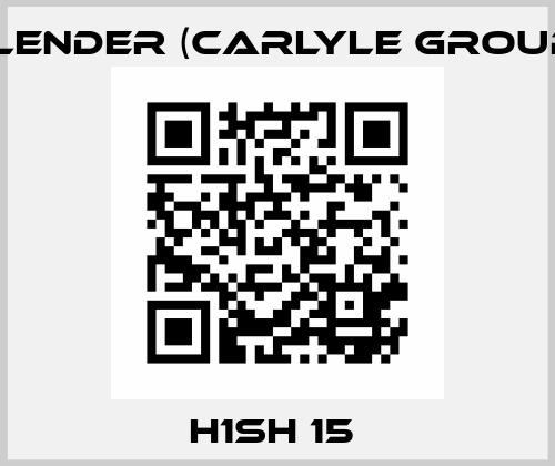 H1SH 15  Flender (Carlyle Group)