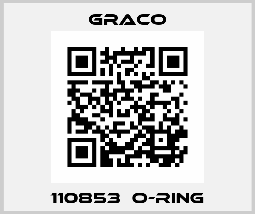 110853  O-RING Graco