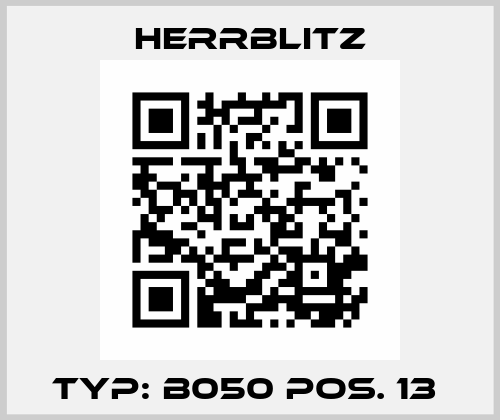 Typ: B050 Pos. 13  Herrblitz