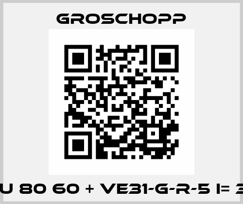 IGLU 80 60 + VE31-G-R-5 i= 38:1 Groschopp
