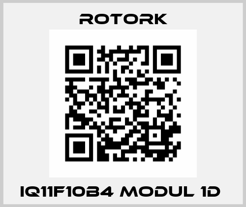 IQ11F10B4 MODUL 1D  Rotork