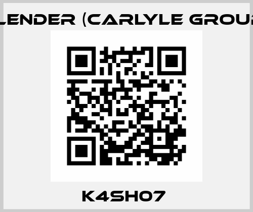 K4SH07  Flender (Carlyle Group)
