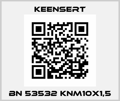 BN 53532 KNM10x1,5 Keensert