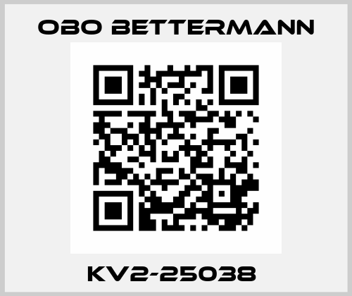 KV2-25038  OBO Bettermann