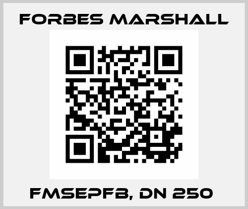 FMSEPFB, DN 250  FORBES MARSHALL