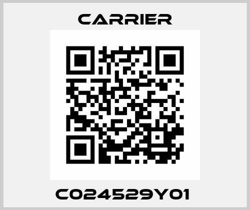 C024529Y01  Carrier