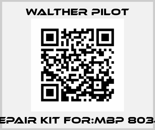 Repair Kit For:MBP 8034  Walther Pilot
