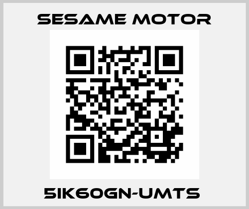 5IK60GN-UMTs  Sesame Motor