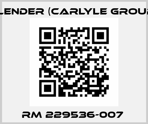 RM 229536-007  Flender (Carlyle Group)