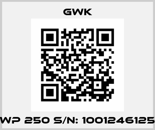 WP 250 S/N: 1001246125 GWK