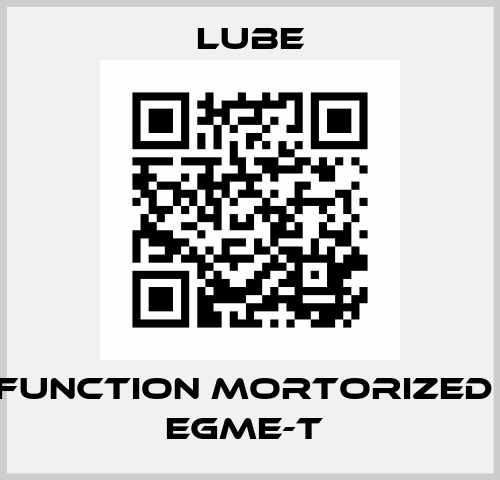 Dual-function mortorized pump EGME-T  Lube