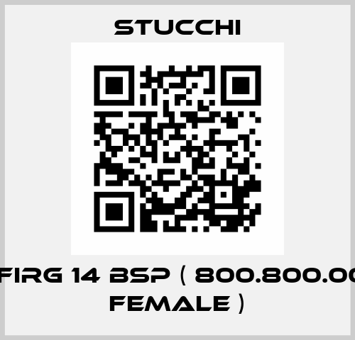 F. FIRG 14 BSP ( 800.800.000 Female ) Stucchi