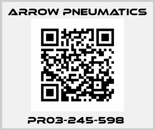 PR03-245-598  Arrow Pneumatics