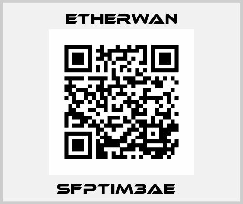 SFPTIM3AE   Etherwan