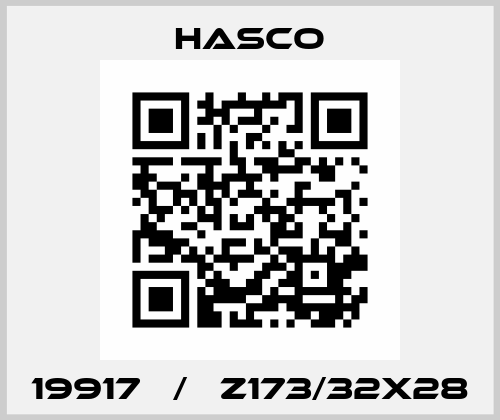 19917   /   Z173/32x28 Hasco