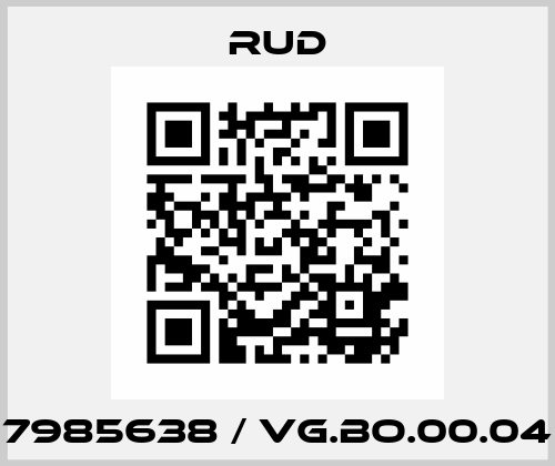7985638 / VG.BO.00.04 Rud