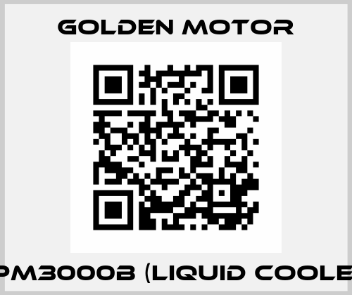 HPM3000B (Liquid Cooled) Golden Motor
