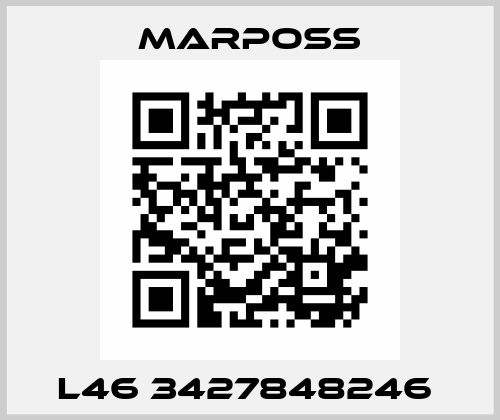 L46 3427848246  Marposs