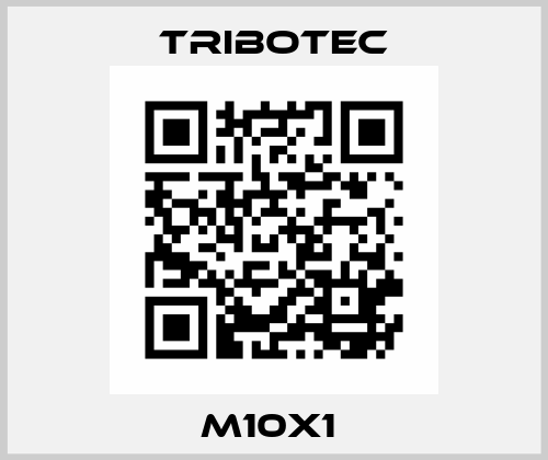 M10X1  Tribotec
