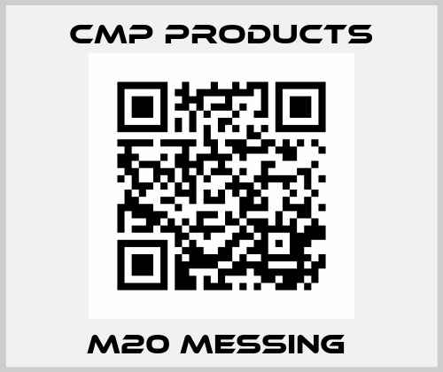 M20 MESSING  CMP Products